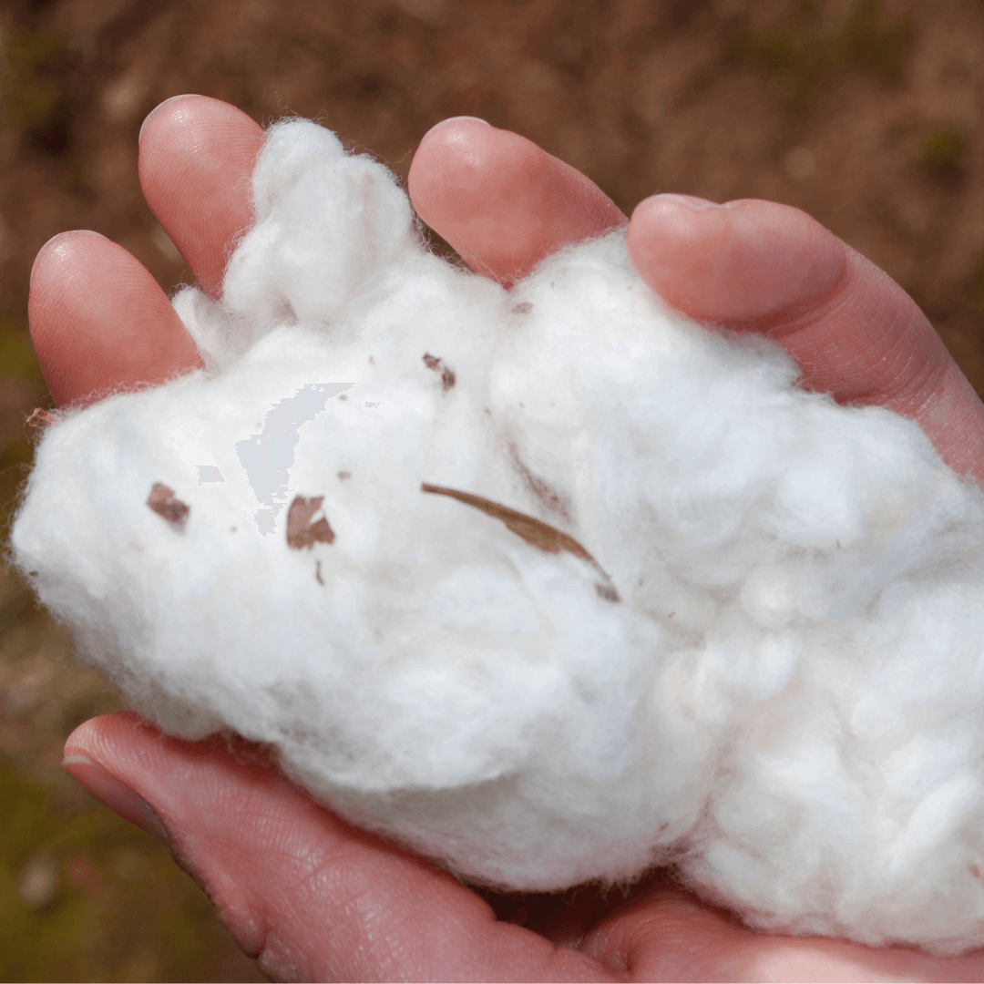 El U.S. Cotton Trust Protocol celebra sus logros en el primer aniversario de su lanzamiento - Planeta sustentable |  Artículos ecológicos